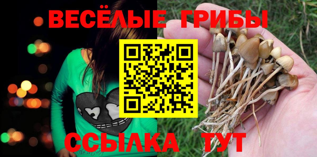 Кинель  Галлюциногенные грибы MAGIC MUSHROOMS  где можно купить   Вход с VPN 